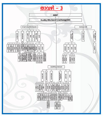 Family Tree Gallery 3